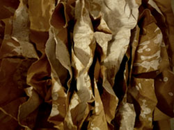 Taccuino
